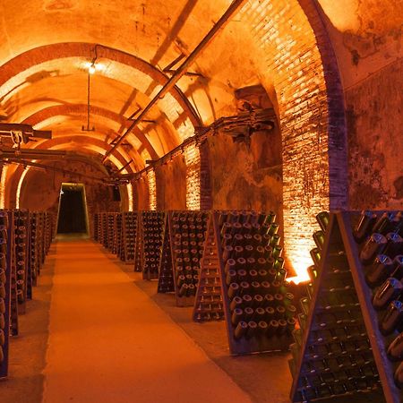 Le Cosy - Charmant 2 Chambres - Hyper Centre Реймс Екстер'єр фото